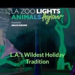 Four Tickets For The La Zoo Lights At The La Zoo
