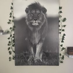 Lion Art 