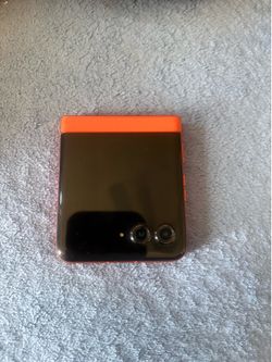 Motorola razr  2024
