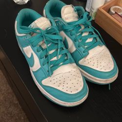 Woman’s 6.5 Nike Dunks