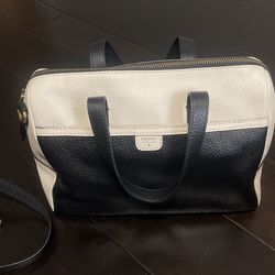 Fossil Tote Bag