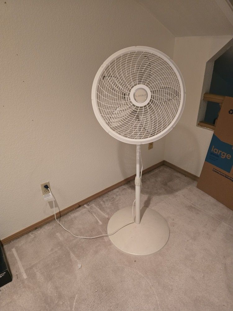 Stand Up Fan