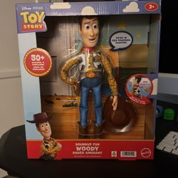You Story Woody 
