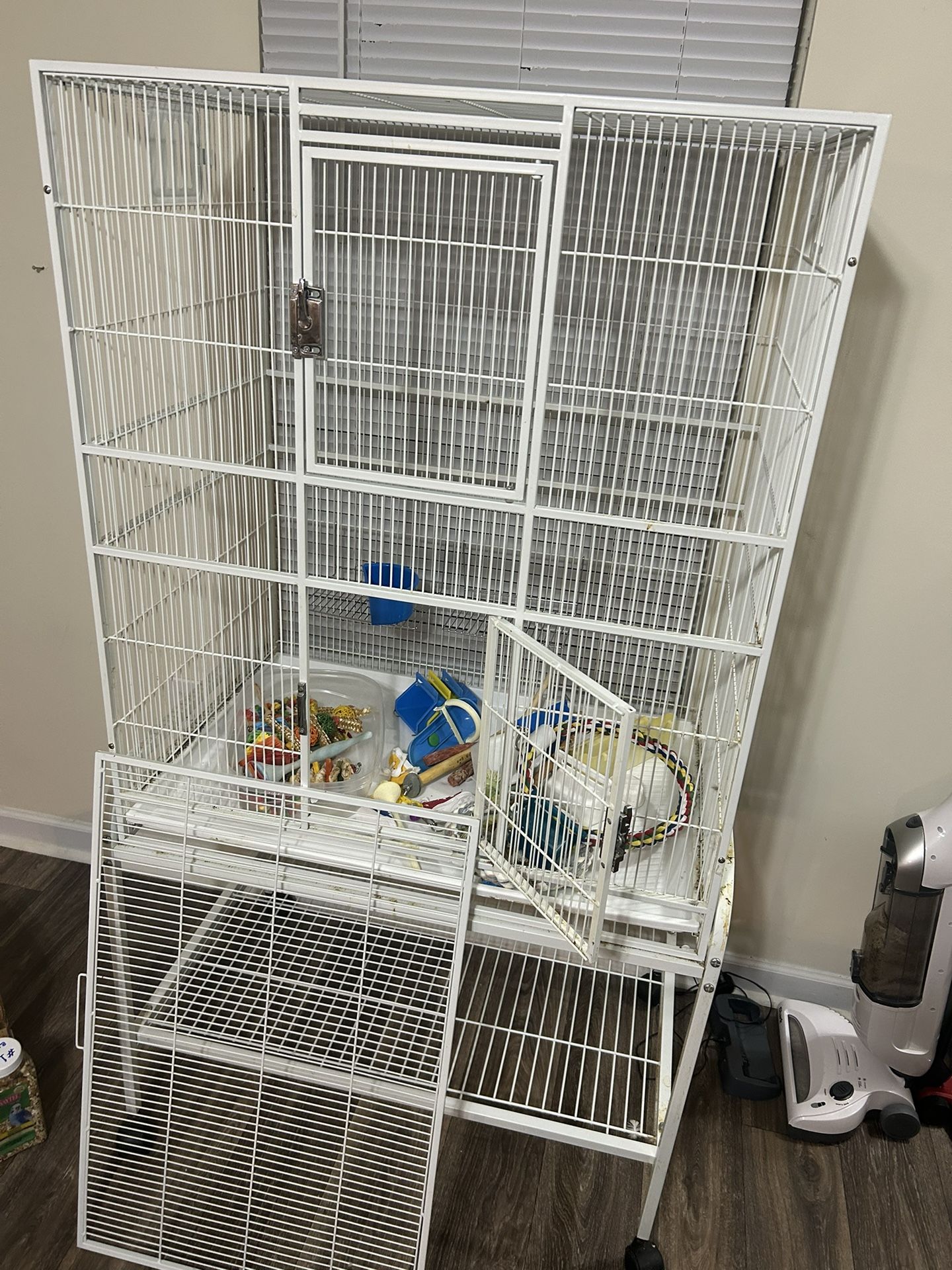 Birds Cage