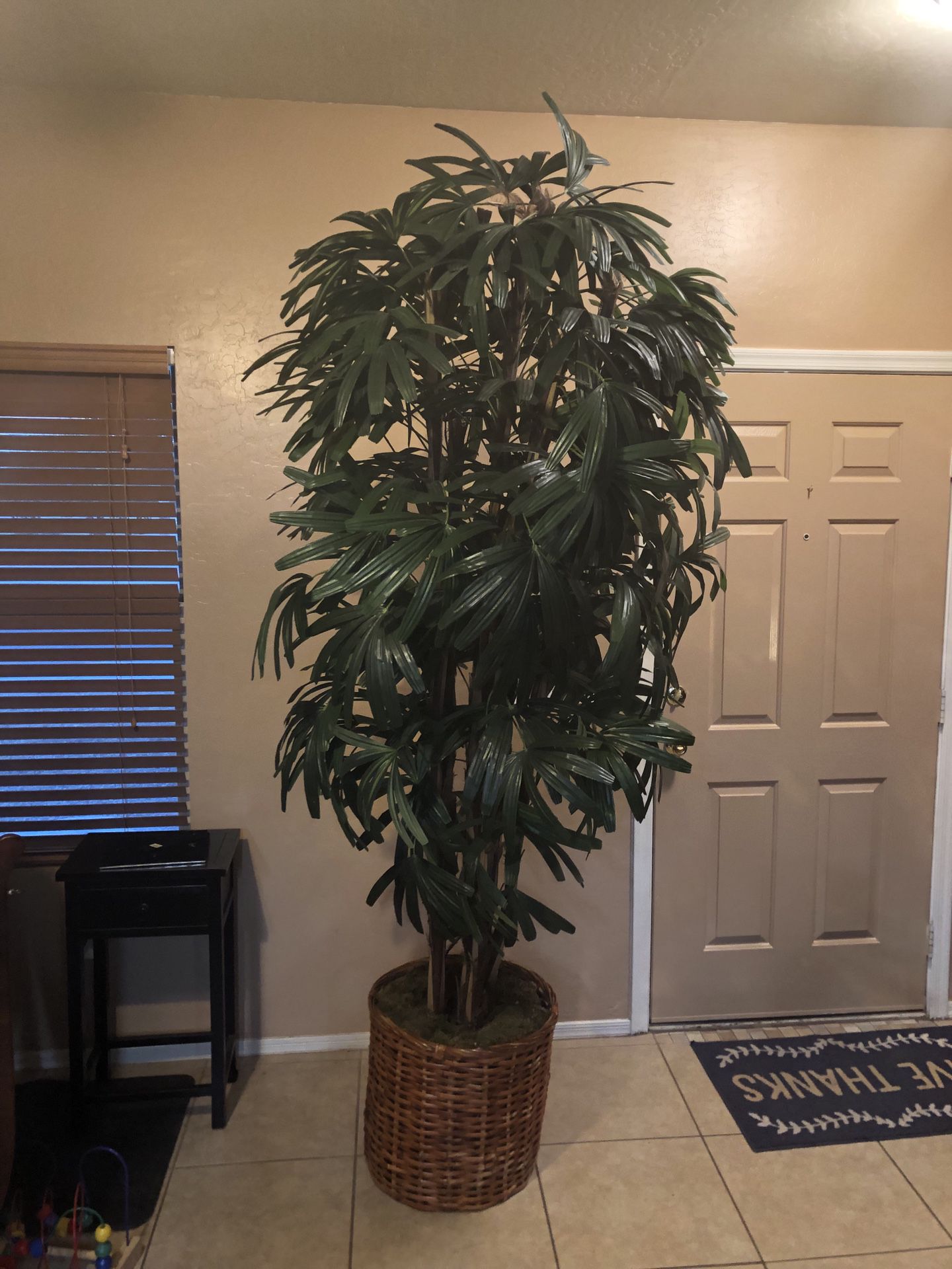 Beautiful 8 foot plant