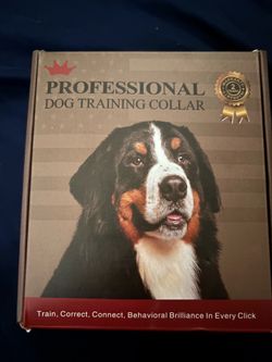 Professional dog training collar