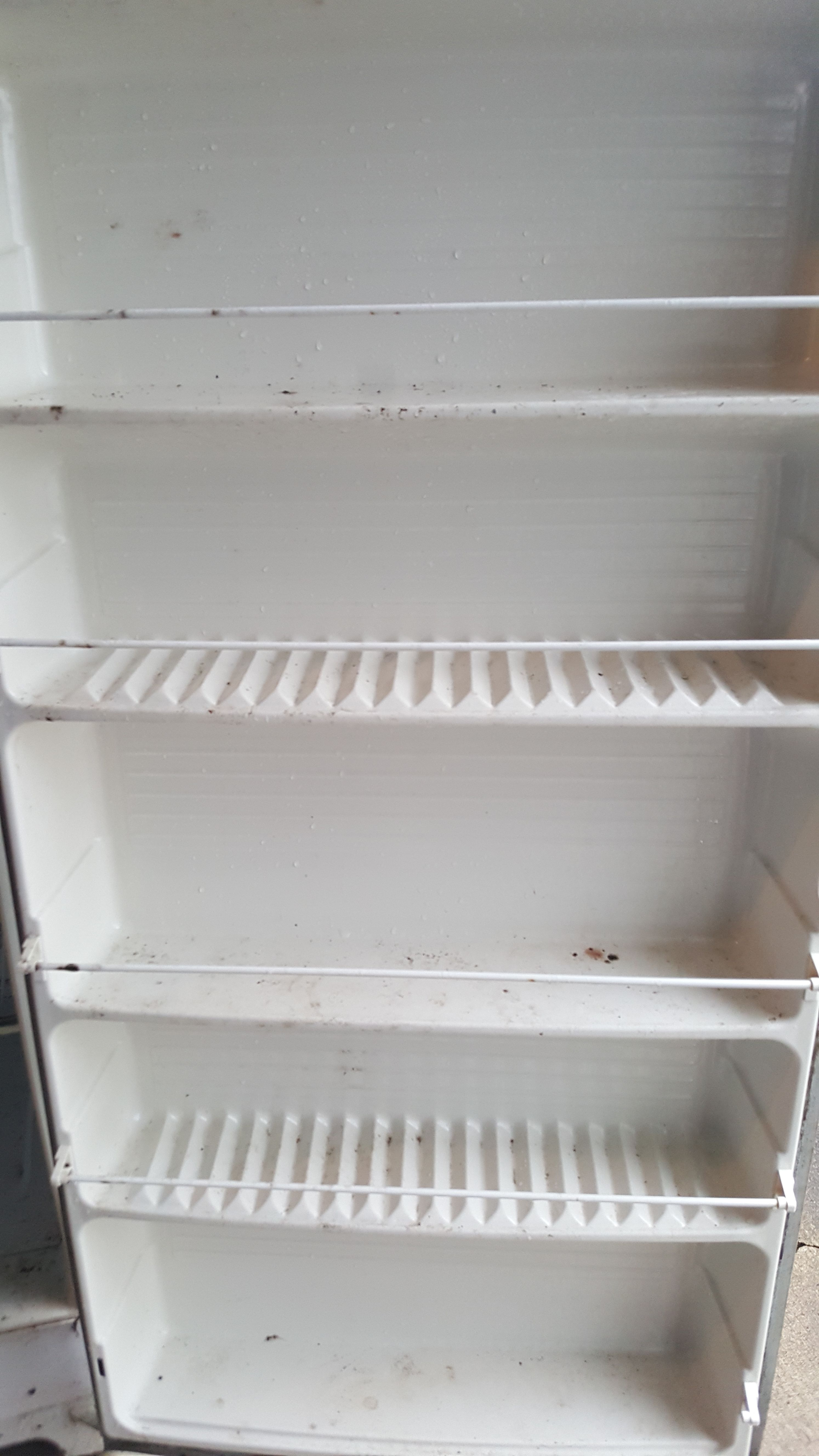 Montgomery Wards, 16.6 cu ft, Upright Freezer, runs great. for Sale in