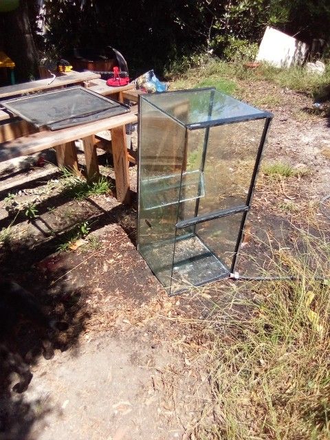 40 Gallon Aquarium 