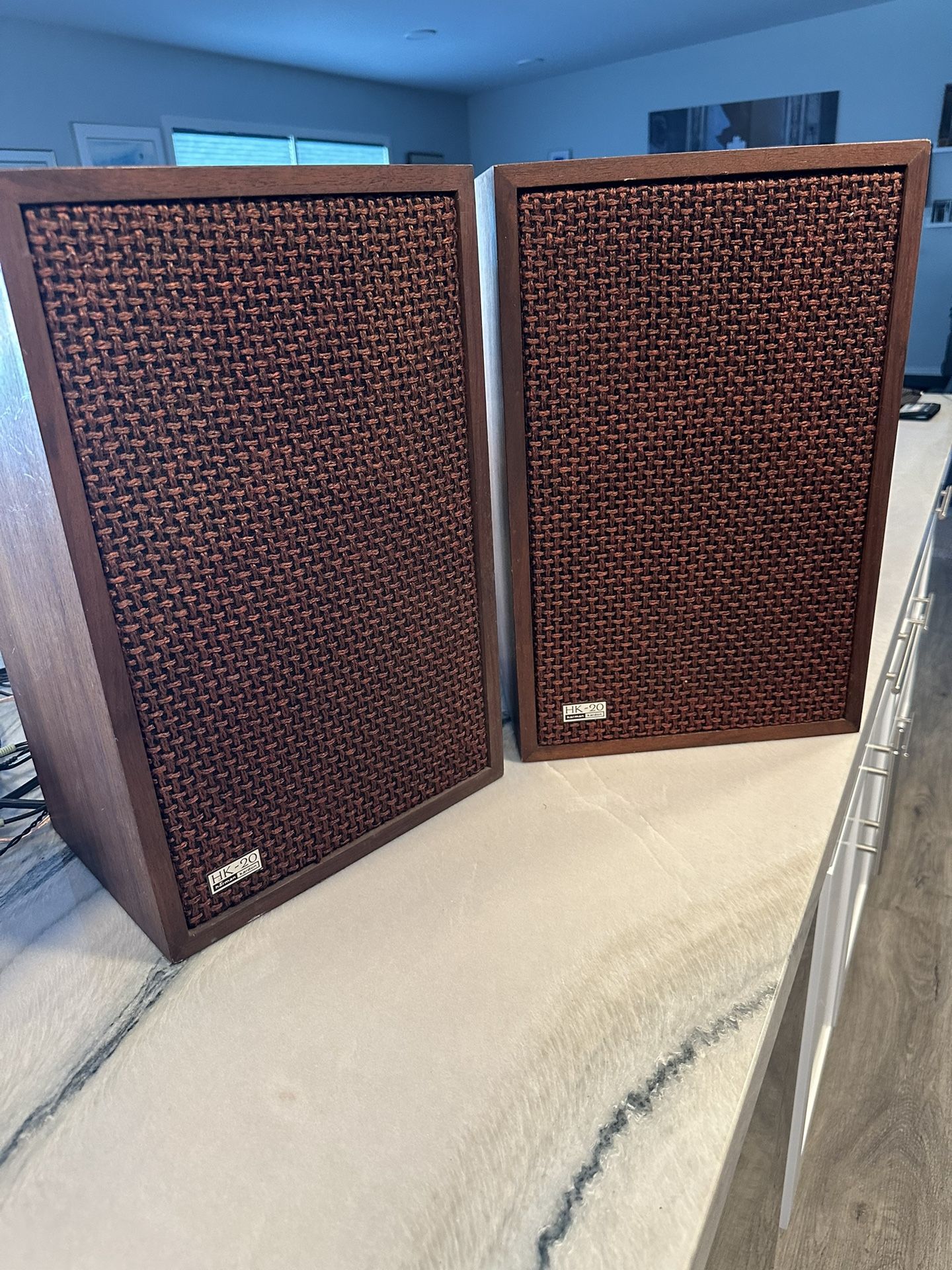 Vintage Harmon Kardon Speakers (HK 20)