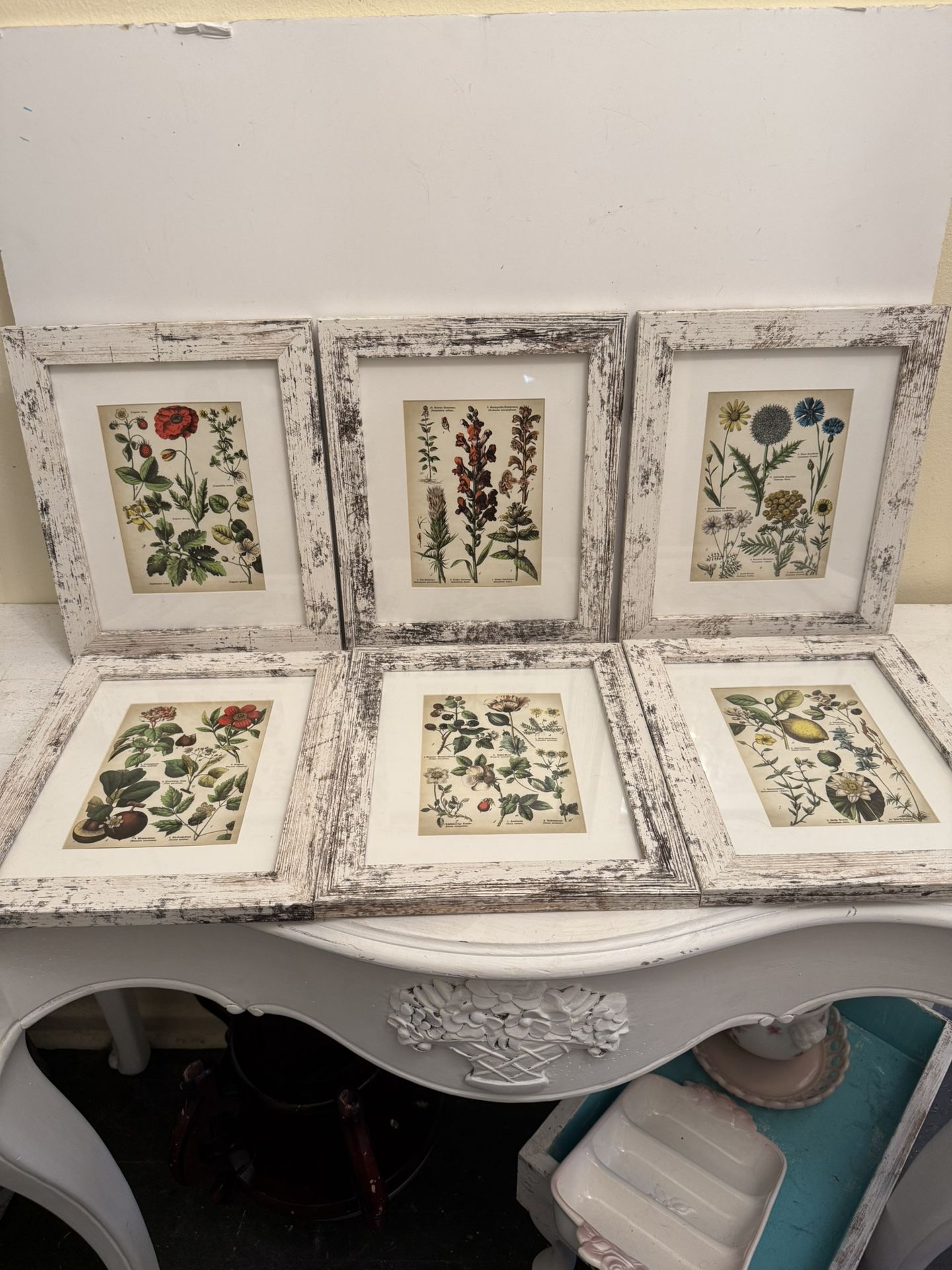 Set Of Botanical Prints 6
