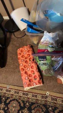 Guinea Pig Supplies