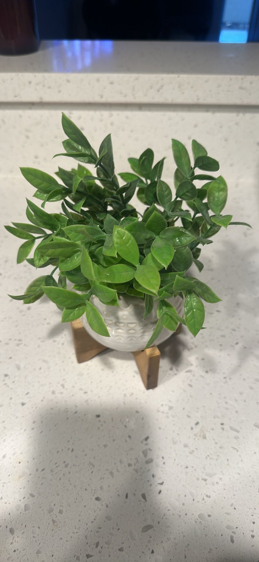 Fake Plant