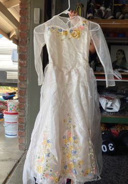Cinderella costume