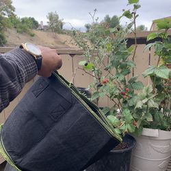 Fabric Planter