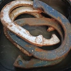 !!HORSESHOES!!