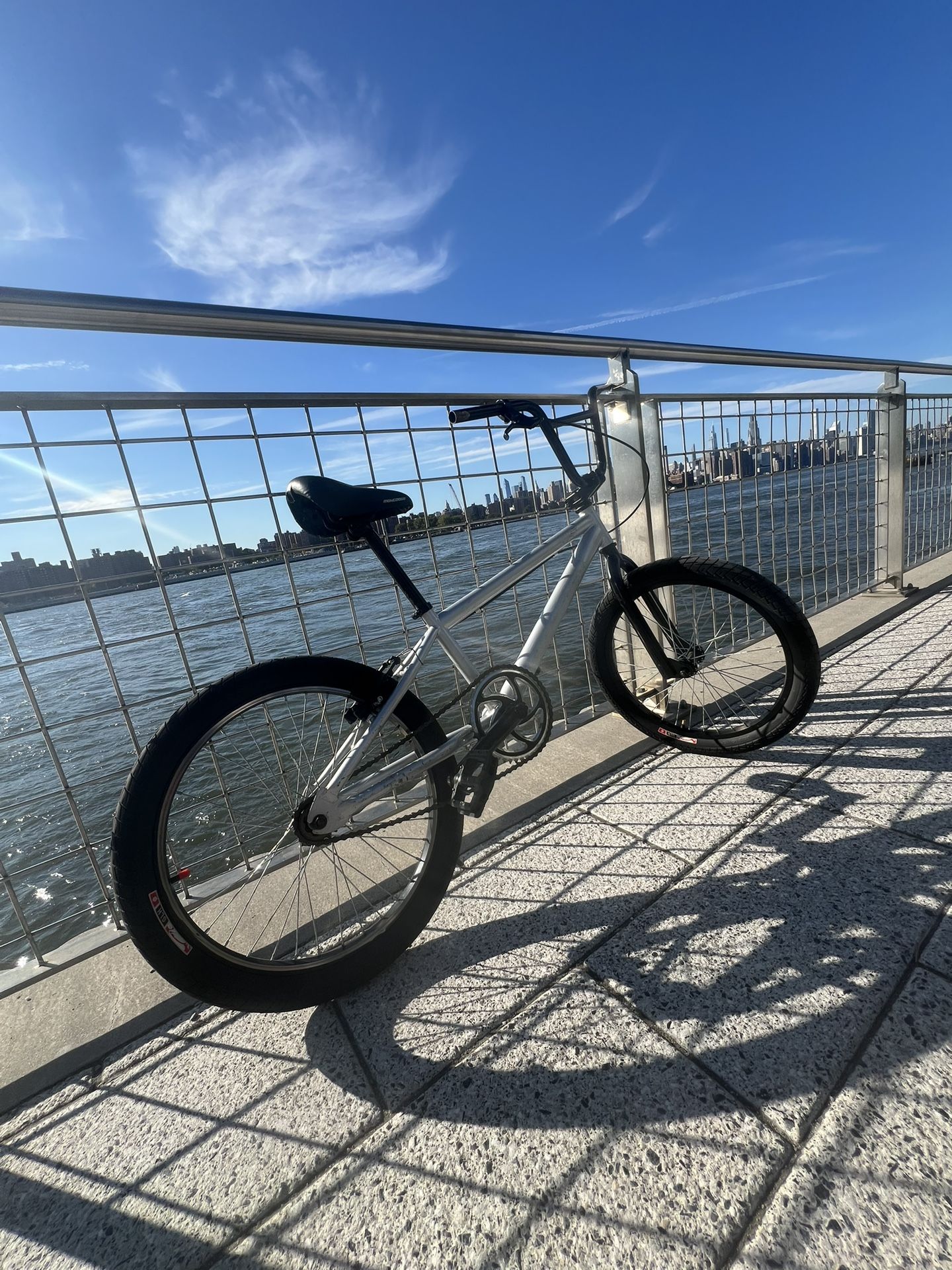 Mongoose Grey Bike