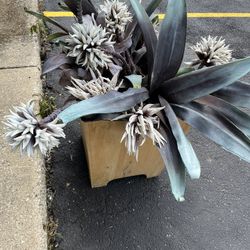 Planter decoration 