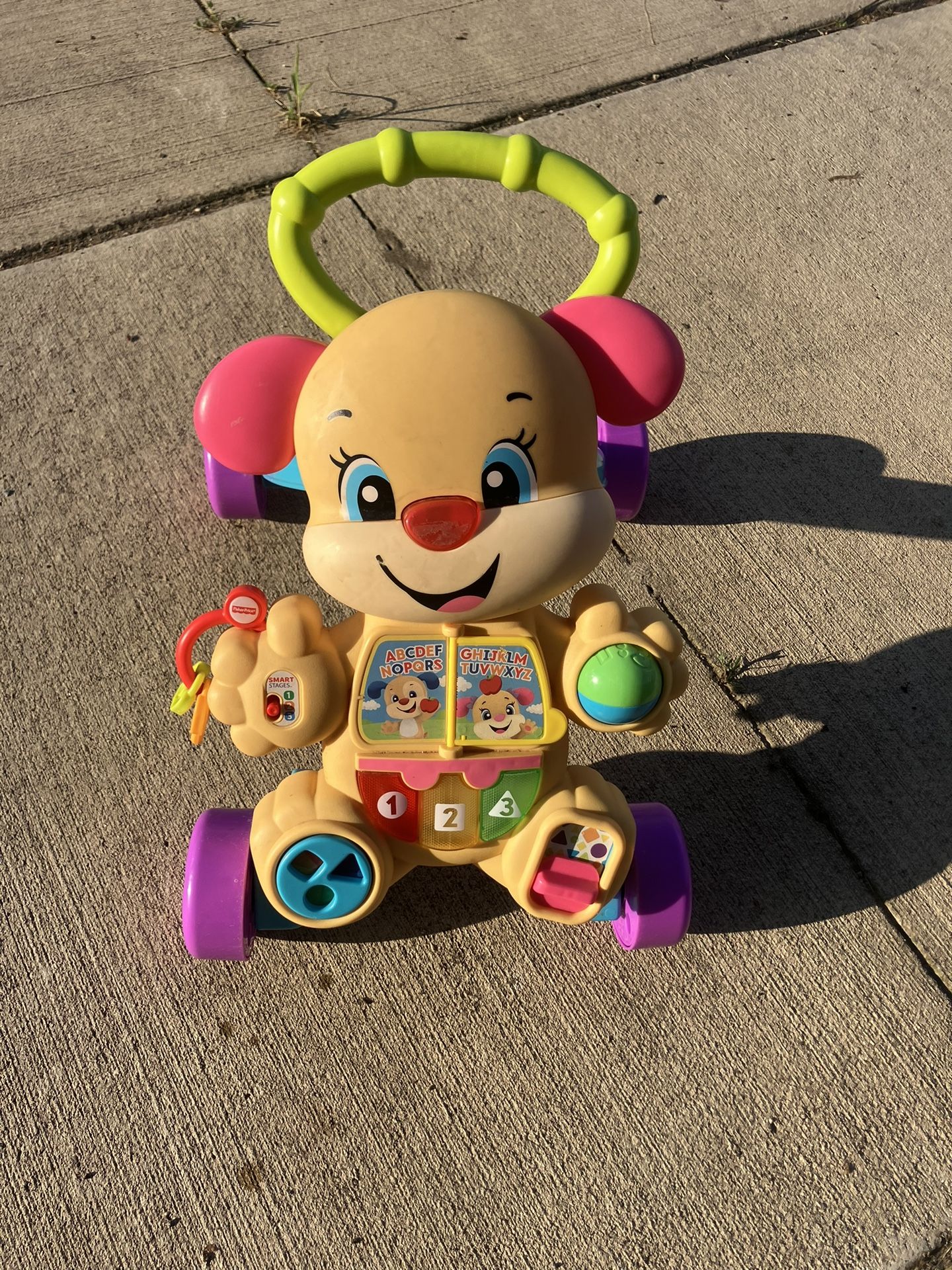 Activity Walk Along Toy