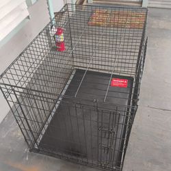 Dog Cage 