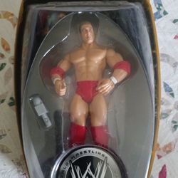 WWE Action Figure
