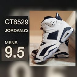 Nike Air Jordan Retro 6