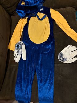 Sonic costume  7-8