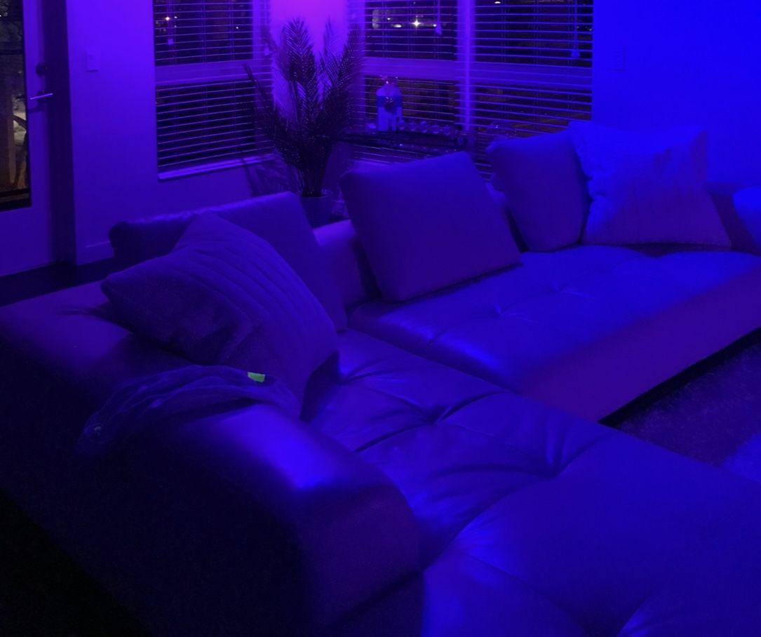 White Leather Sectional Sofa