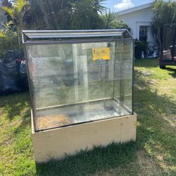 Butterfly Enclosure