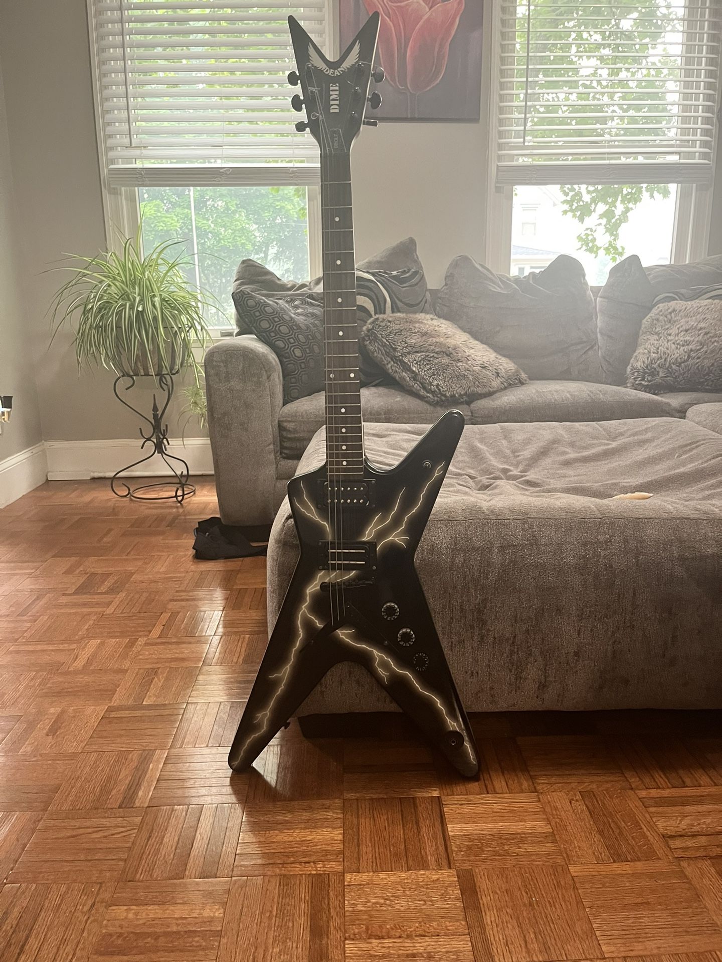 Dimebag Edition Dean Guitar