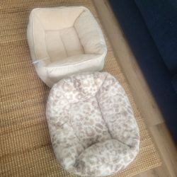 Cats bed new