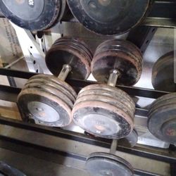 Pair Of 8-pound Pro-style Dumbbells W Hex Handles 170lbs Total Weights