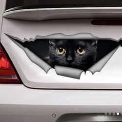 Car Decor 