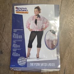 Pink Lady/Greece Costume - Halloween Costume