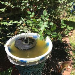 Solar water fountain