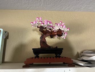 LEGO Botanical Collection Bonsai Tree 10281 – Built Display Model