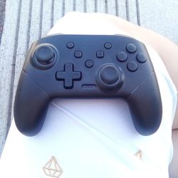 Nintendo Switch Controller 