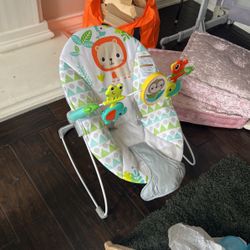 Baby Bouncer
