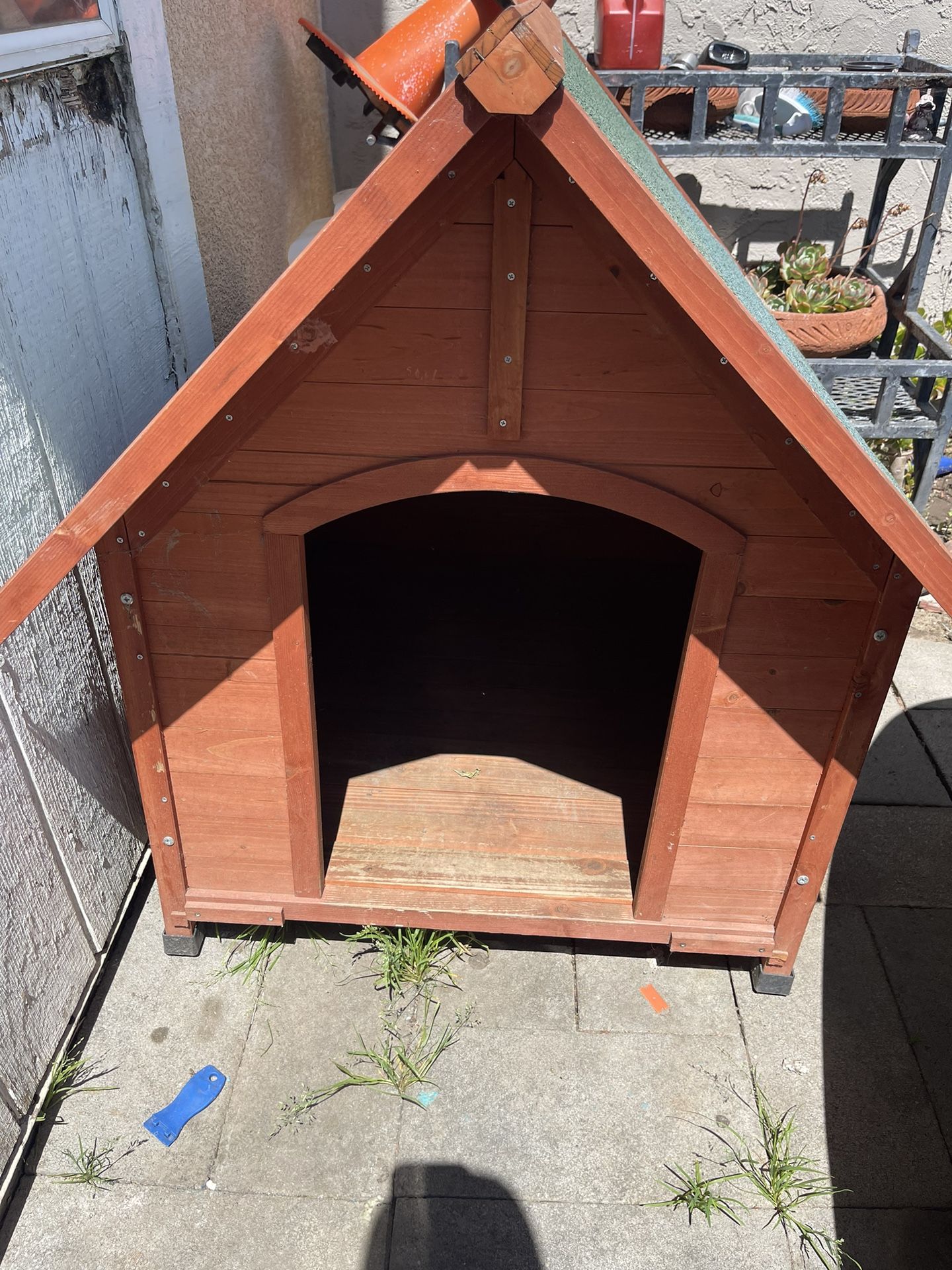 Dog House 