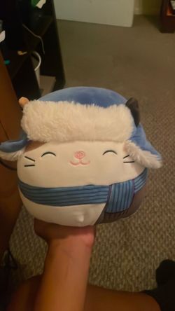 Cute tiny squish mellow cat