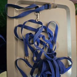 Dog Tie Out Cable & Car Seat Belt
