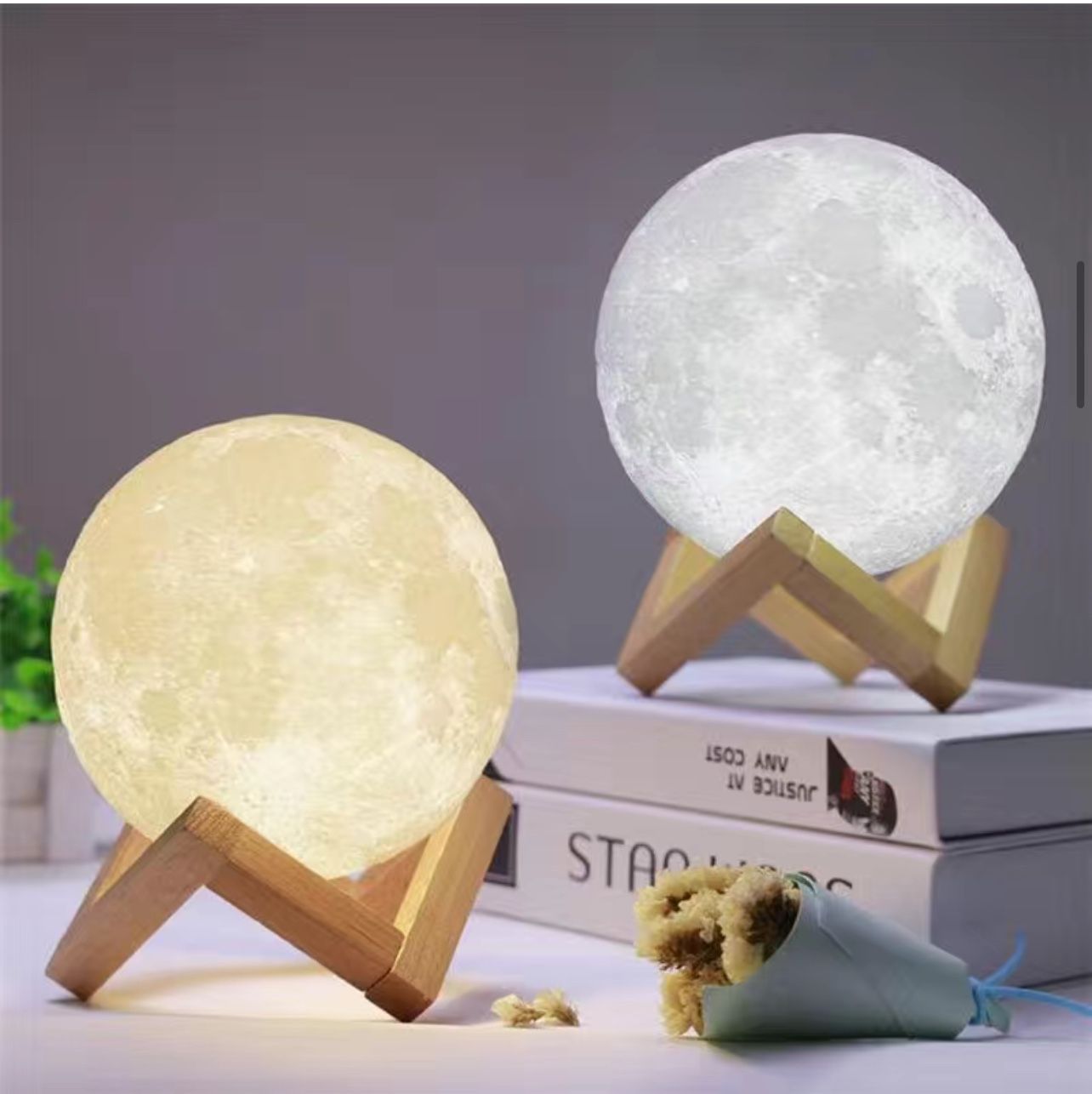 3D Printed Moon Light