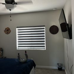 Zebra Shades