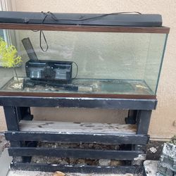 Fish Tank 55 Gal 