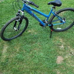 Schwinn High Tember 26" Bike (recently serviced with new shifters, cables, handlegrips and kickstand