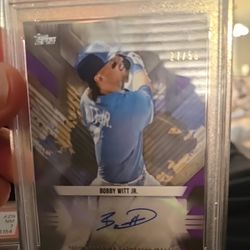 Baseball Graded 10