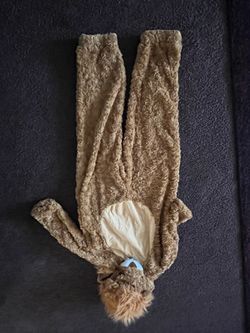 Lion costume