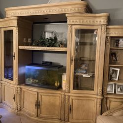 Entertainment Center 