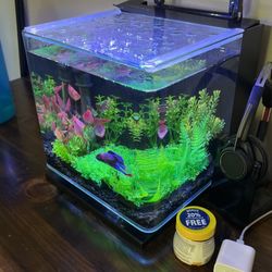 Marineland Contour 3 Gallon Aquarium and With Heater