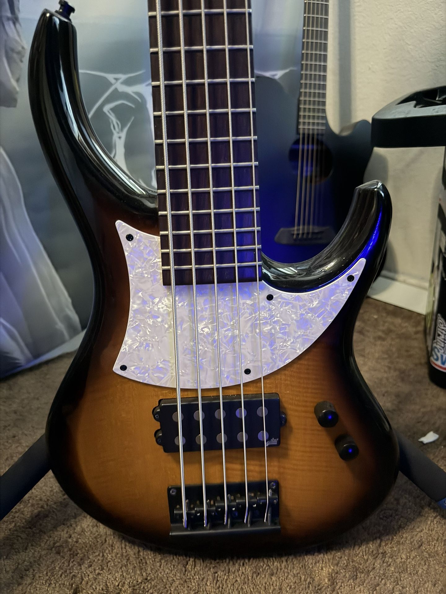 MTD Kingston 5 String Bass Guitar