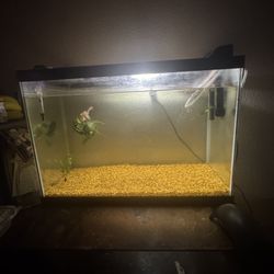 20 Gallon Fish Tank 